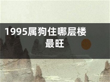 1995属狗住哪层楼最旺