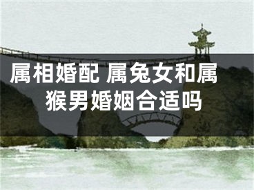 属相婚配 属兔女和属猴男婚姻合适吗