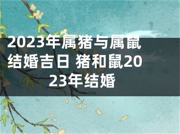 2023年属猪与属鼠结婚吉日 猪和鼠2023年结婚
