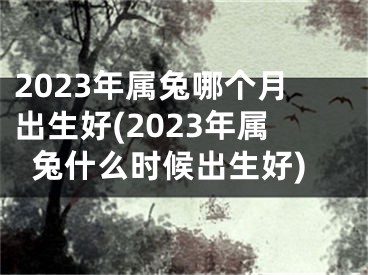 2023年属兔哪个月出生好(2023年属兔什么时候出生好)