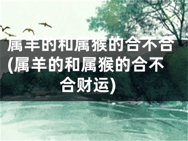 属羊的和属猴的合不合(属羊的和属猴的合不合财运)