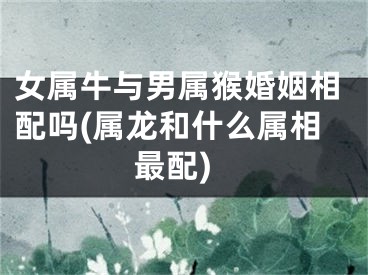 女属牛与男属猴婚姻相配吗(属龙和什么属相最配)