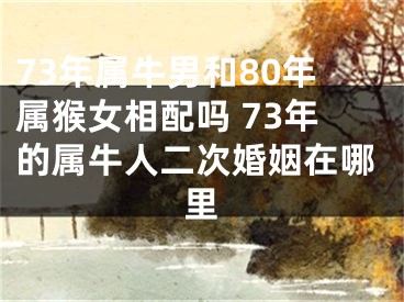 73年属牛男和80年属猴女相配吗 73年的属牛人二次婚姻在哪里