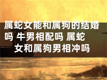 属蛇女能和属狗的结婚吗 牛男相配吗 属蛇女和属狗男相冲吗