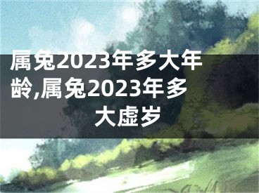 属兔2023年多大年龄,属兔2023年多大虚岁