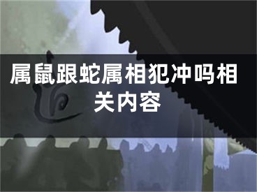 属鼠跟蛇属相犯冲吗相关内容