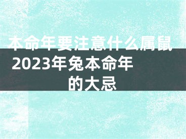 本命年要注意什么属鼠 2023年兔本命年的大忌