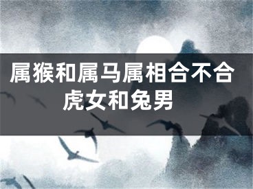 属猴和属马属相合不合 虎女和兔男