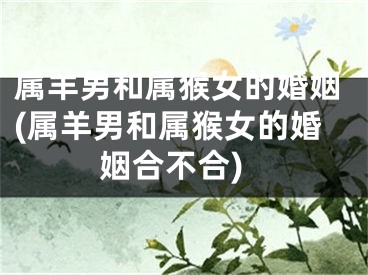 属羊男和属猴女的婚姻(属羊男和属猴女的婚姻合不合)