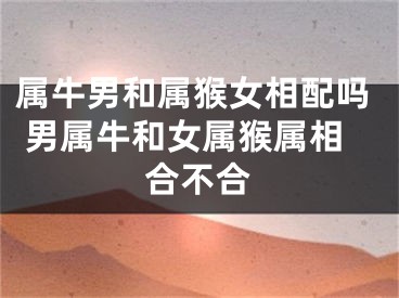 属牛男和属猴女相配吗 男属牛和女属猴属相合不合