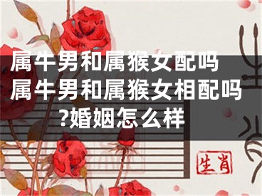 属牛男和属猴女配吗 属牛男和属猴女相配吗?婚姻怎么样