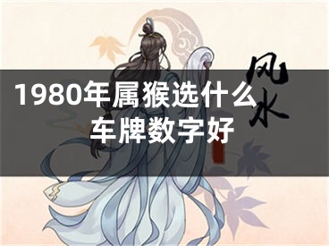 1980年属猴选什么车牌数字好