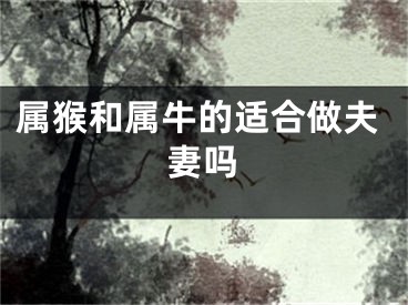 属猴和属牛的适合做夫妻吗