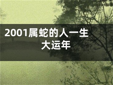2001属蛇的人一生大运年