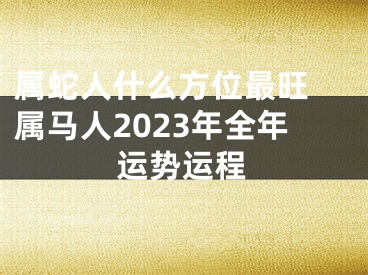 属蛇人什么方位最旺 属马人2023年全年运势运程