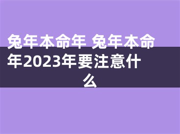 兔年本命年 兔年本命年2023年要注意什么