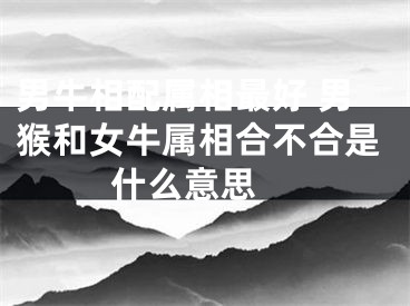 男牛相配属相最好 男猴和女牛属相合不合是什么意思 
