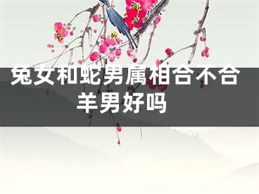 兔女和蛇男属相合不合 羊男好吗