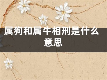 属狗和属牛相刑是什么意思