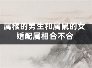 属猴的男生和属鼠的女婚配属相合不合