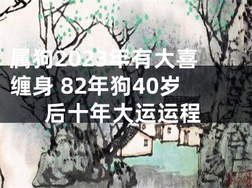 属狗2023年有大喜缠身 82年狗40岁后十年大运运程
