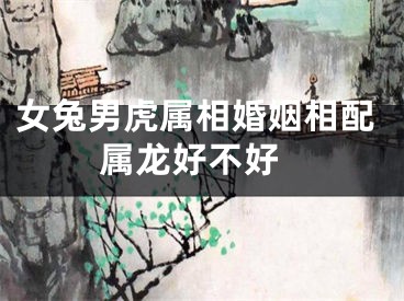 女兔男虎属相婚姻相配 属龙好不好