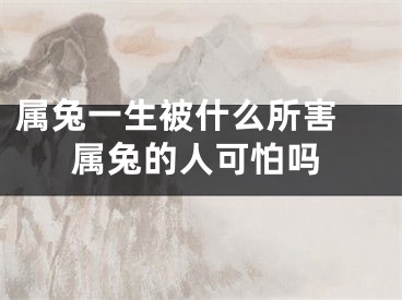 属兔一生被什么所害 属兔的人可怕吗