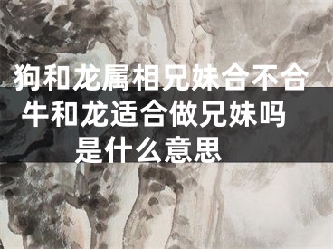 狗和龙属相兄妹合不合 牛和龙适合做兄妹吗是什么意思 