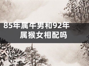 85年属牛男和92年属猴女相配吗