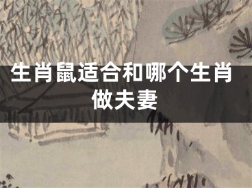 生肖鼠适合和哪个生肖做夫妻