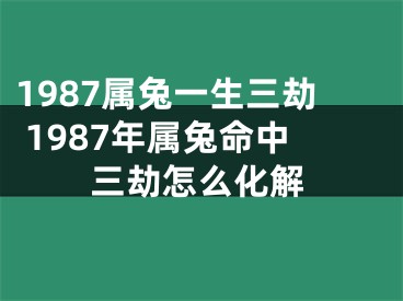 1987属兔一生三劫 1987年属兔命中三劫怎么化解