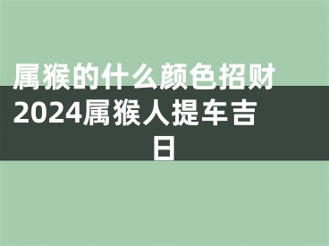 属猴的什么颜色招财 2024属猴人提车吉日