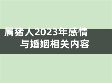 属猪人2023年感情与婚姻相关内容