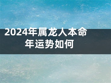 2024年属龙人本命年运势如何 