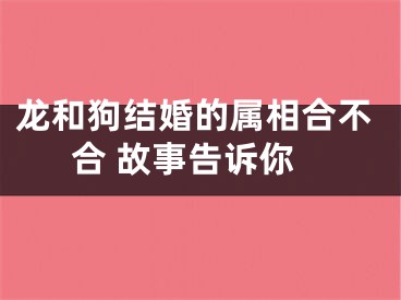 龙和狗结婚的属相合不合 故事告诉你