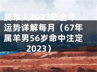 属羊人2023年全年运势详解每月（67年属羊男56岁命中注定2023）