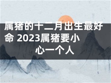 属猪的十二月出生最好命 2023属猪要小心一个人