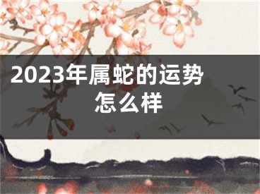 2023年属蛇的运势怎么样