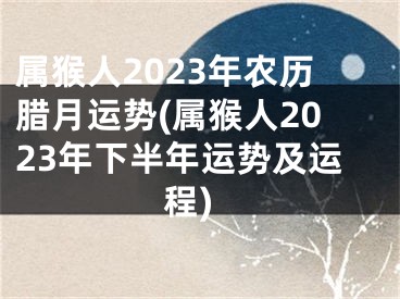 属猴人2023年农历腊月运势(属猴人2023年下半年运势及运程)