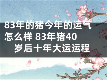 83年的猪今年的运气怎么样 83年猪40岁后十年大运运程