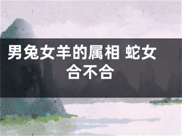 男兔女羊的属相 蛇女合不合