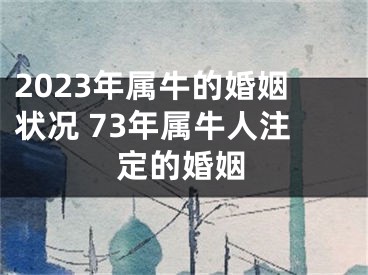 2023年属牛的婚姻状况 73年属牛人注定的婚姻