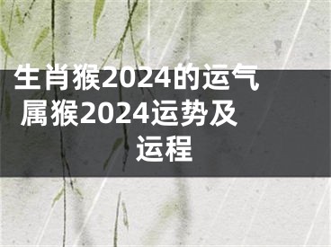 生肖猴2024的运气 属猴2024运势及运程