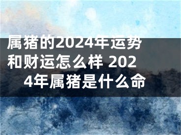 属猪的2024年运势和财运怎么样 2024年属猪是什么命