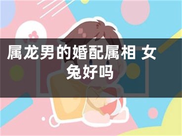 属龙男的婚配属相 女兔好吗