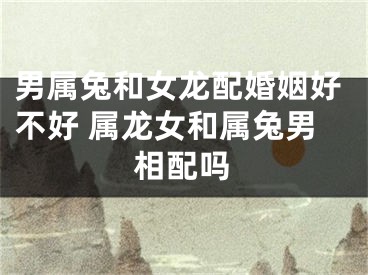 男属兔和女龙配婚姻好不好 属龙女和属兔男相配吗