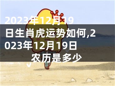 2023年12月19日生肖虎运势如何,2023年12月19日农历是多少