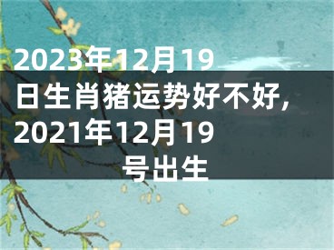 2023年12月19日生肖猪运势好不好,2021年12月19号出生
