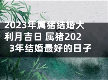 2023年属猪结婚大利月吉日 属猪2023年结婚最好的日子