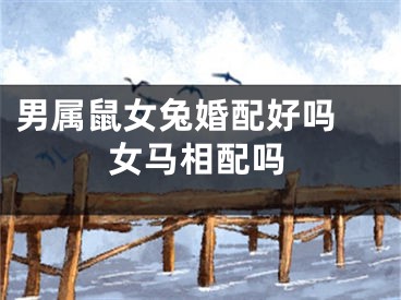 男属鼠女兔婚配好吗 女马相配吗